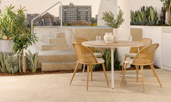 Summer Haven Collection