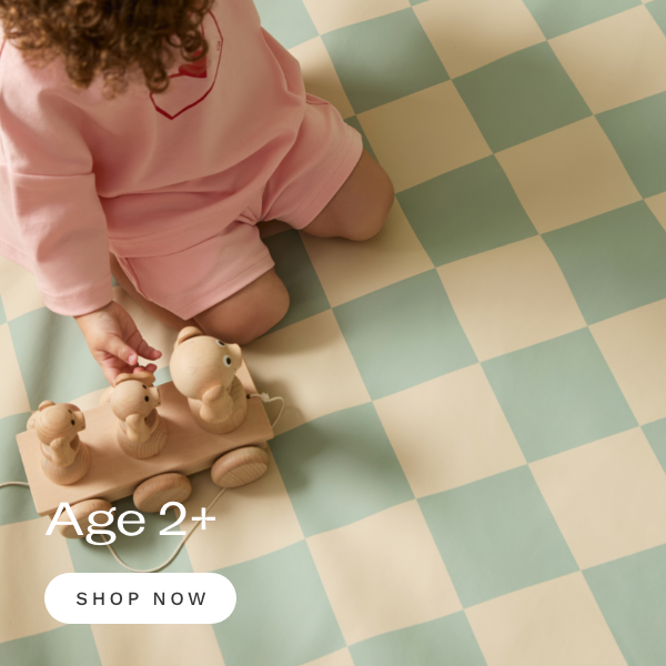 Gifts for 2+ Year Olds