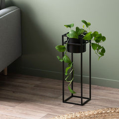 Home Accessories