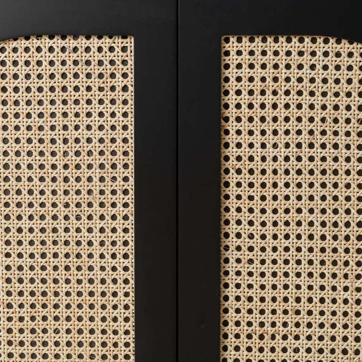 Claremont Two Door Cabinet - Black - Mocka Australia