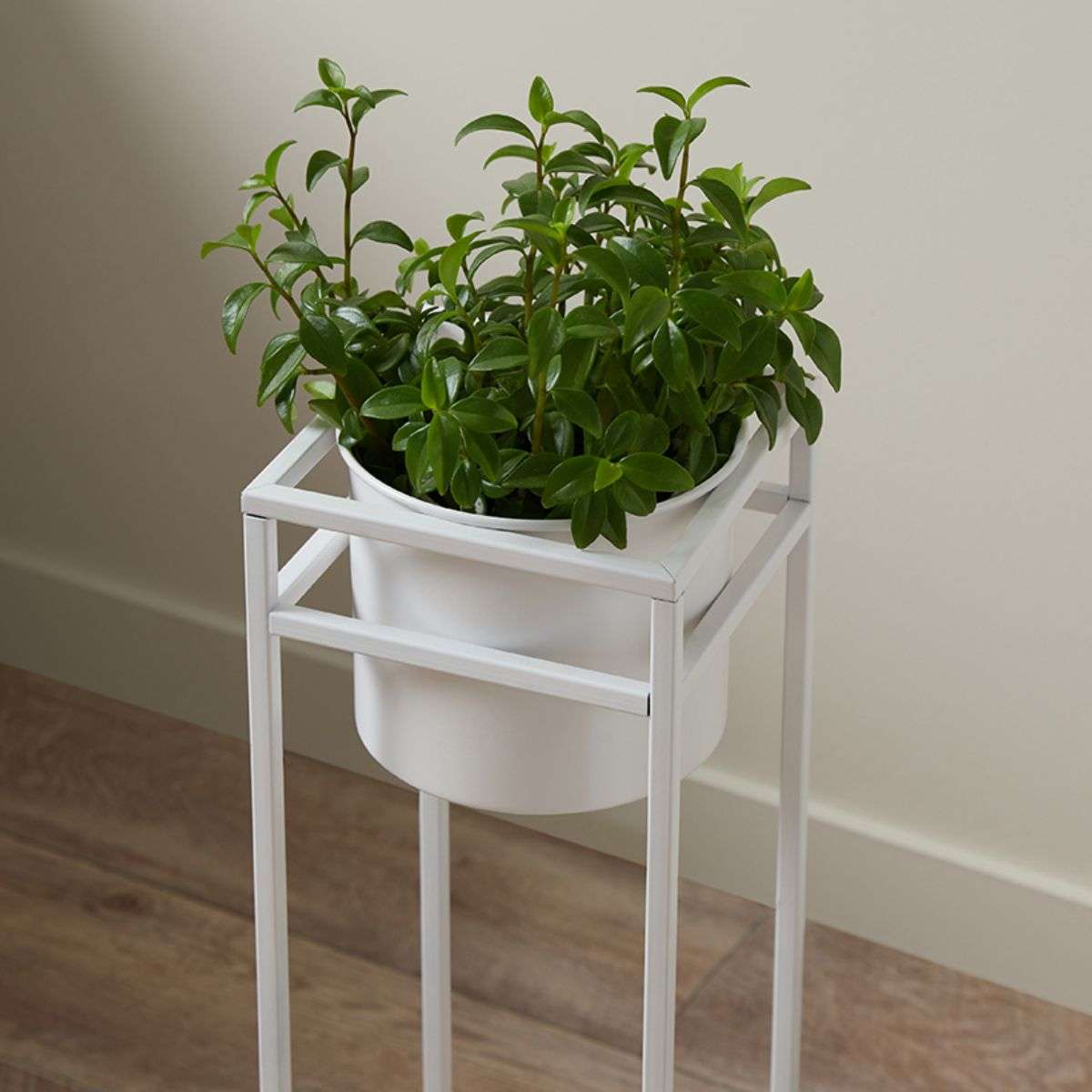 Brent Metal Plant Stand White - Short