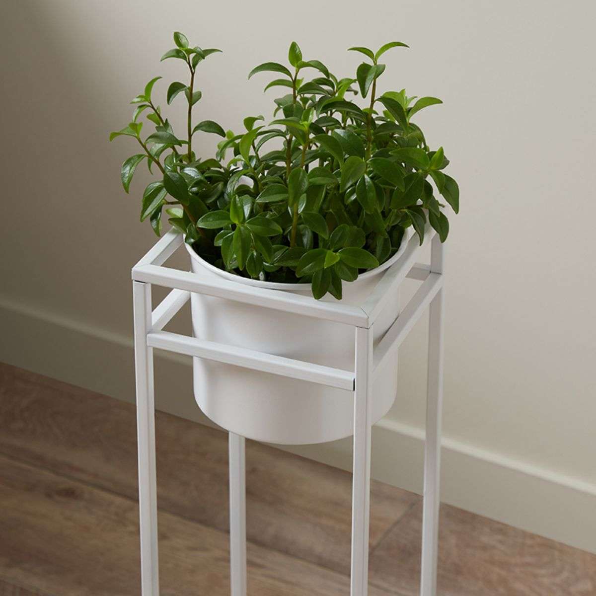 Brent Metal Plant Stand White - Short - Mocka Australia