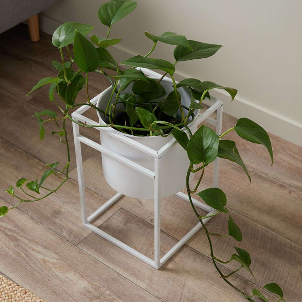 Brent Metal Plant Stand White - Short - Mocka Australia
