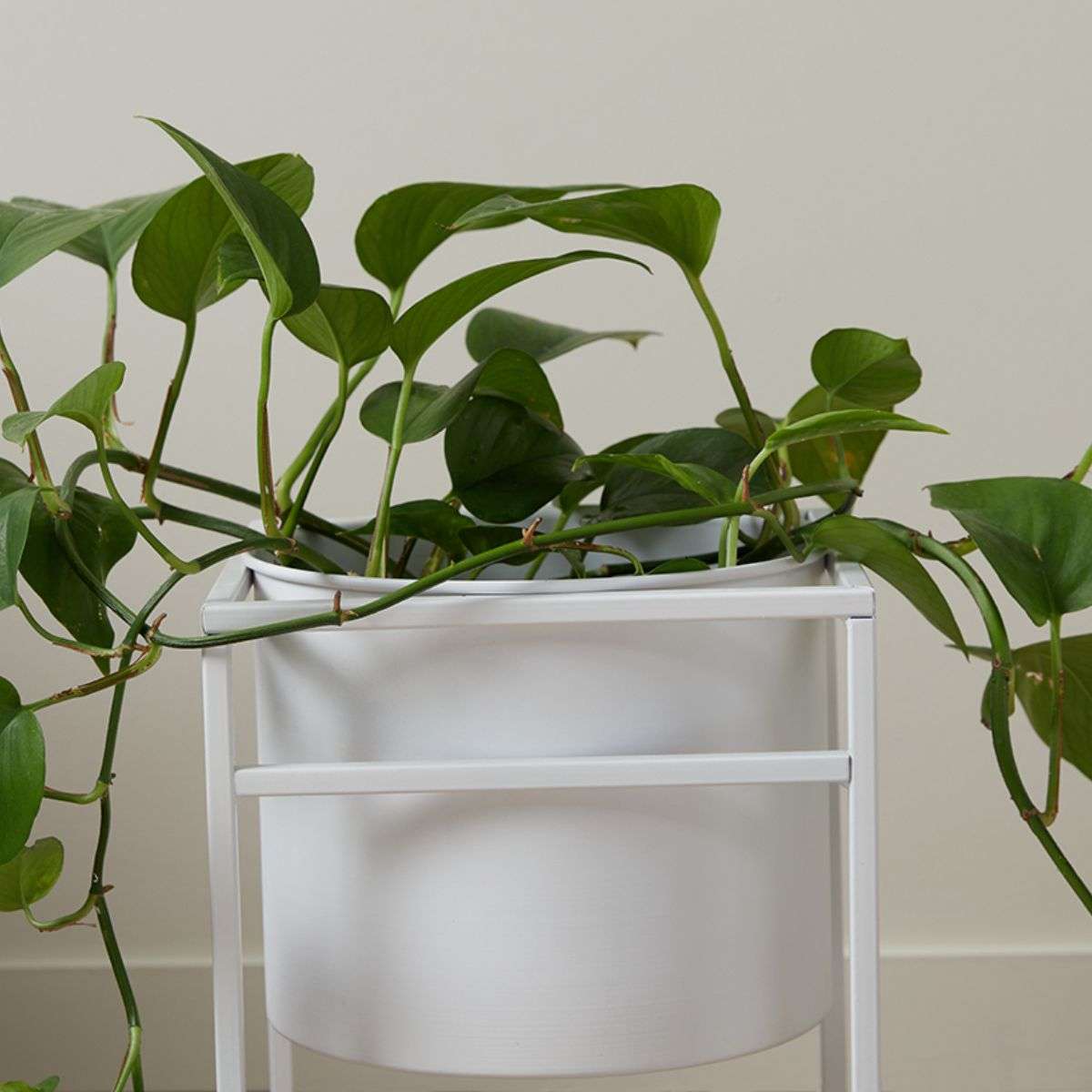 Brent Metal Plant Stand White - Short - Mocka Australia