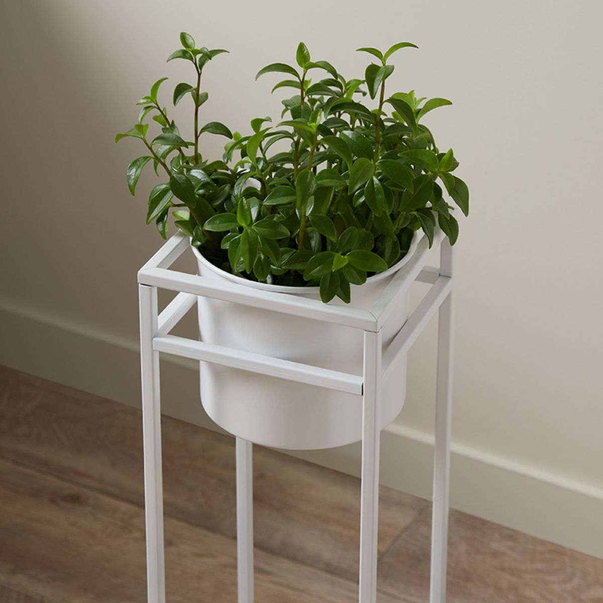 Brent Metal Plant Stand White - Tall