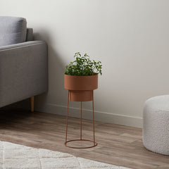 Home Accessories