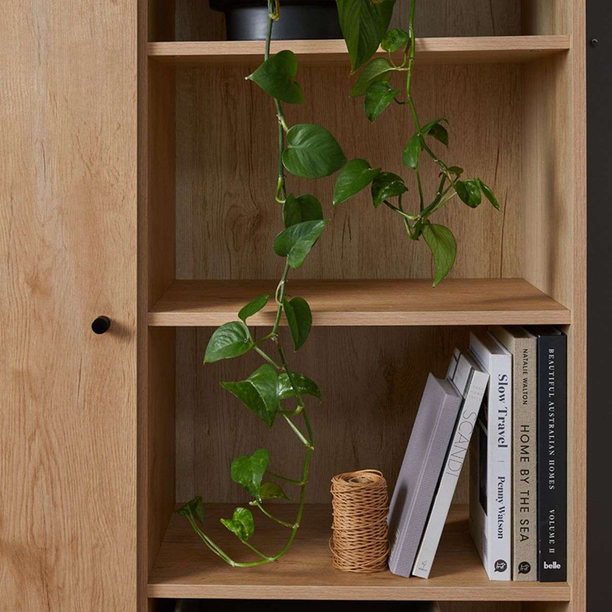 Brixton Bookcase