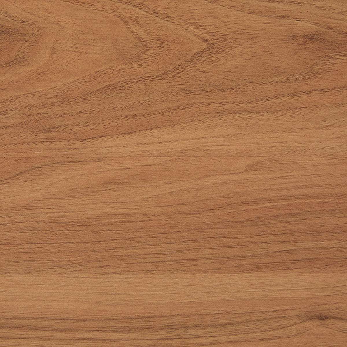 Leeroy Buffet - Hazelnut