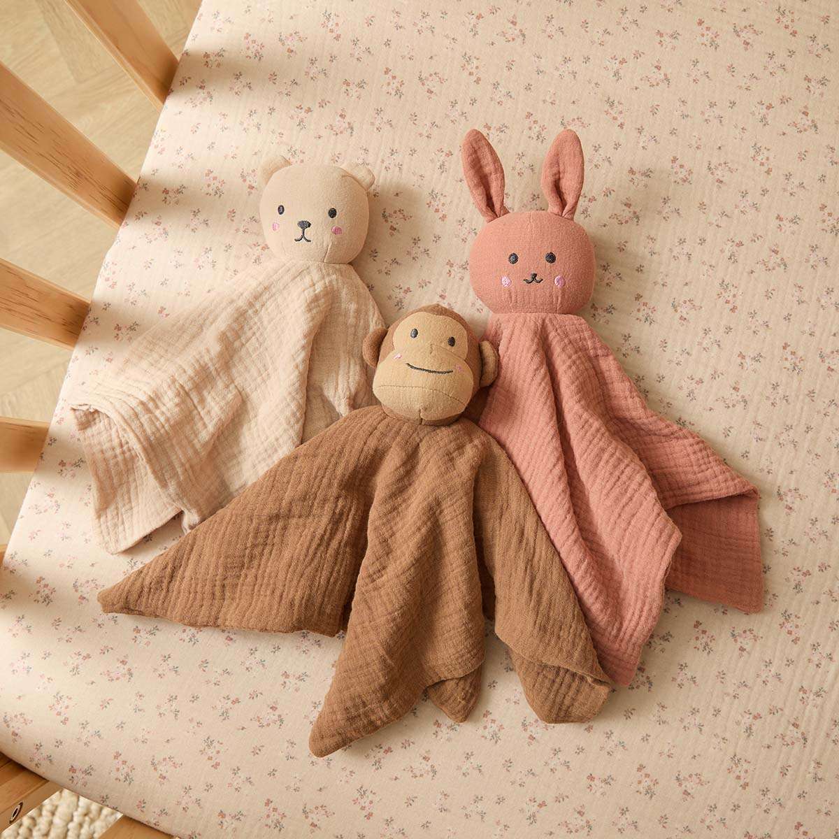 Soft Cotton Teddy Snuggle