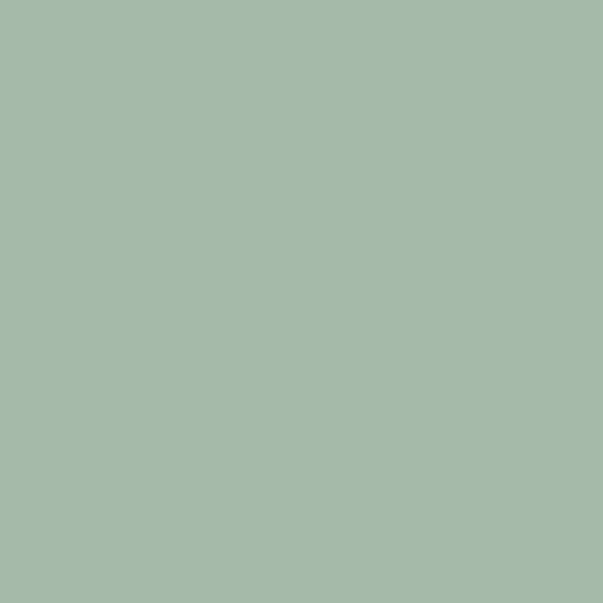 Mocka Original Shoe Locker - Sage Green